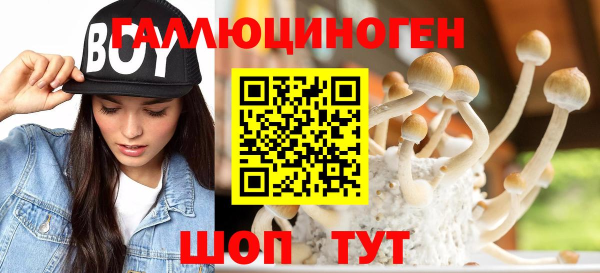 Галлюциногенные грибы GOLDEN TEACHER  Галлюциногенные грибы ЛСД  Тимашёвск  Вход с VPN 